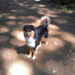 Meet your Posher, Jeremy